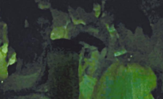 房祖名去年被港媒直擊在中環(huán)夜店與長(zhǎng)發(fā)妞互動(dòng)曖昧，女生正是Nana