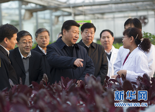  27日下午，習(xí)近平在山東省農(nóng)業(yè)科學(xué)院智能化溫室了解農(nóng)業(yè)科技創(chuàng)新情況。