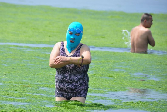 2013年7月3日，山東青島青島高溫來襲，“青島大媽”不懼滸苔，戴著“強盜面具”出現(xiàn)在海水浴場消暑降