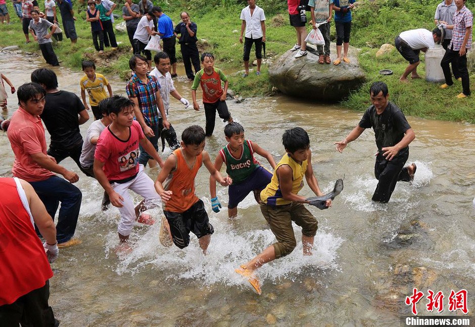 7月9日，村民在小河里摸魚搶魚。譚凱興 攝