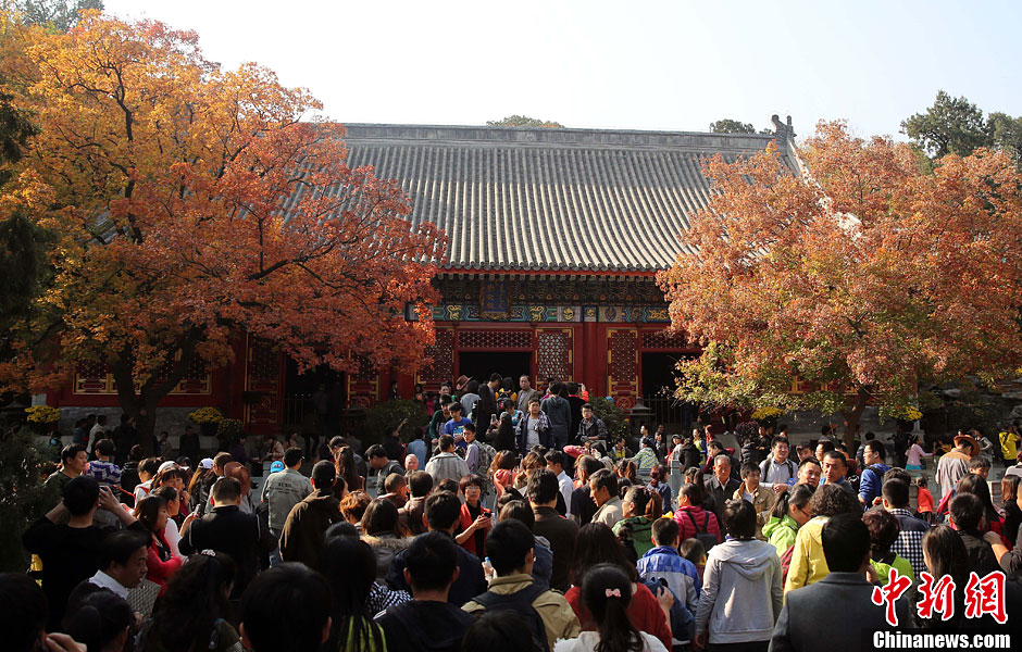 　10月26日，北京香山公園內游客摩肩接踵。