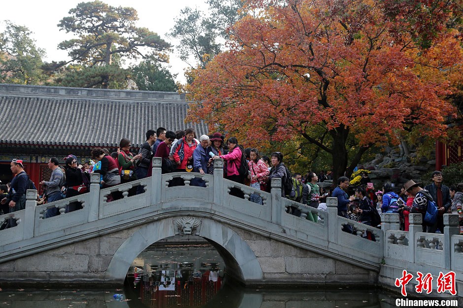 　10月26日，北京香山公園內游客摩肩接踵。