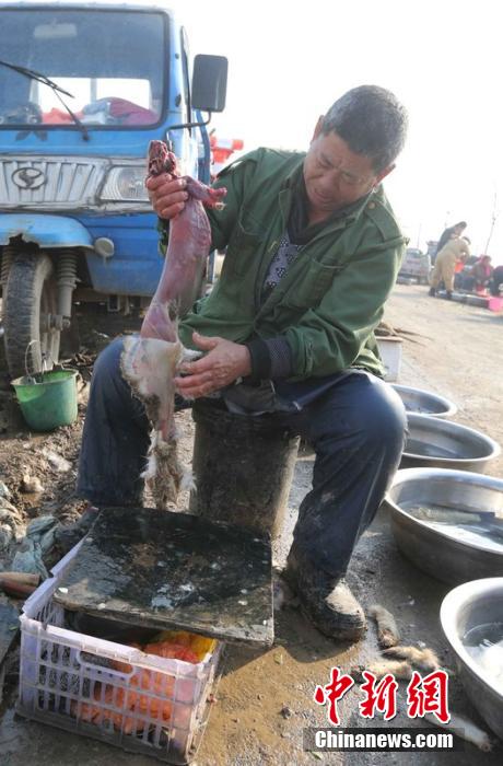 圖為12月1日，104國道靜?？h城附近，顧客挑好后，商販拎著死兔將皮完整地扒下來。田寶希 攝 圖片來