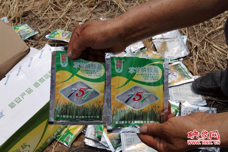 毀掉玉米的農(nóng)藥袋散落在地頭。