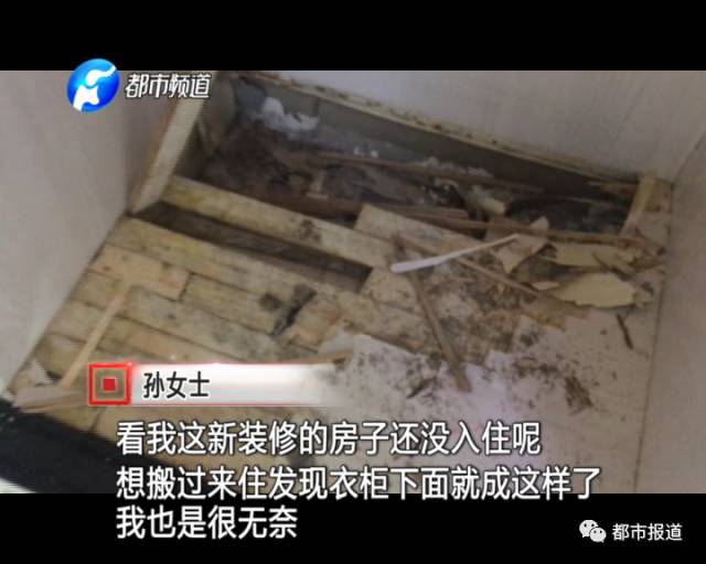 蟻族大軍入侵！十幾萬裝修的新家被“吃掉”