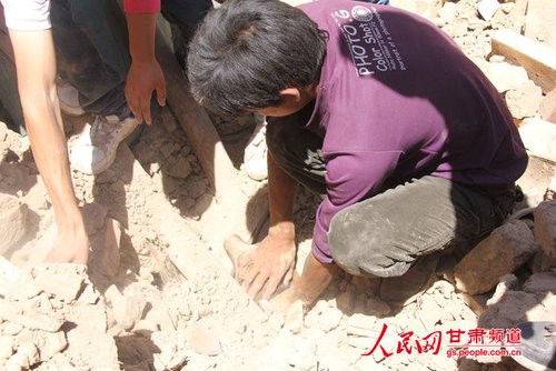 小黃狗露出了鼻子。王生元/攝