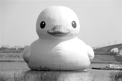 昨日，經(jīng)過連夜修正，大黃鴨的嘴部已恢復(fù)變寬，和在香港展出時(shí)看起來一樣。