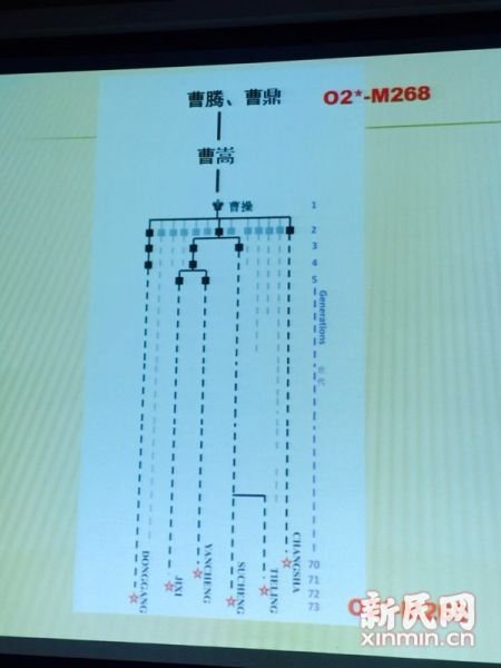圖說：復(fù)旦課題組發(fā)布曹操家族DNA研究結(jié)果。新民網(wǎng) 記者 李欣 攝