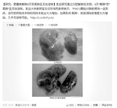 昨天，一則“霧霾使鮮肺6天變黑肺”的新聞在網(wǎng)上引發(fā)熱議。網(wǎng)絡(luò)截圖