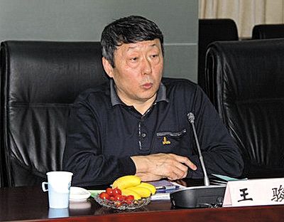 國家能源局新能源和可再生能源司司長(zhǎng)王駿。