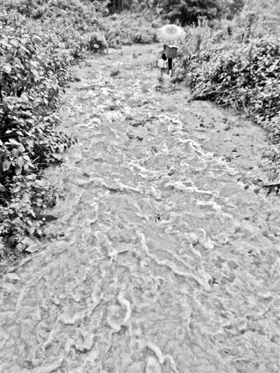 梅子回家的山道，晴天是路，雨天是河