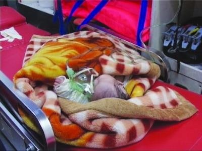 女嬰被遺棄路旁險遭車輪碾壓 警方已送福利院 女嬰被遺棄路旁險遭車輪碾壓 警方已送福利院