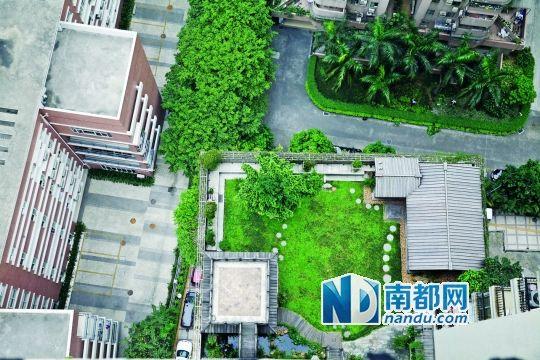 中旅商務(wù)大廈的“空中花園”。