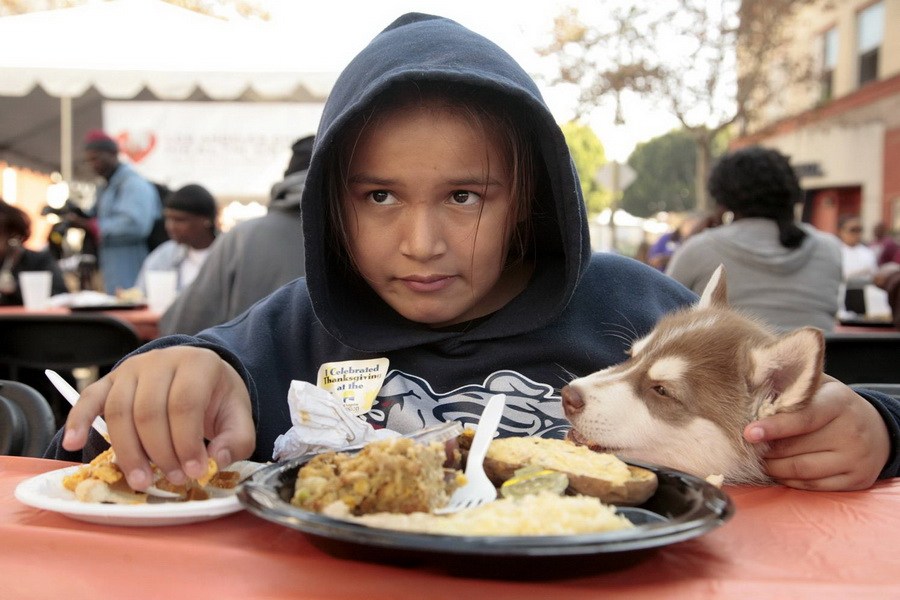 11月21日，加州洛杉磯的游民巷，12歲的堂娜·赫南德茲抱著愛犬“湯米”，安靜地吃著免費(fèi)的感恩節(jié)飯菜