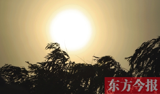 五月十四日，傍晚時分，鄭州的天空再次被沙塵遮蓋