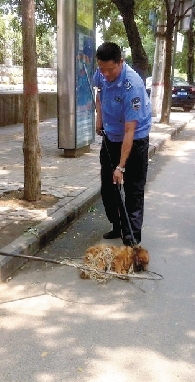 一名隊員拿一根叉子樣的工具，叉住狗狗的脖子