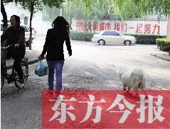 啟明一巷內(nèi)，一名女子帶著狗狗去買菜。狗隨地大小便，狗的主人未制止