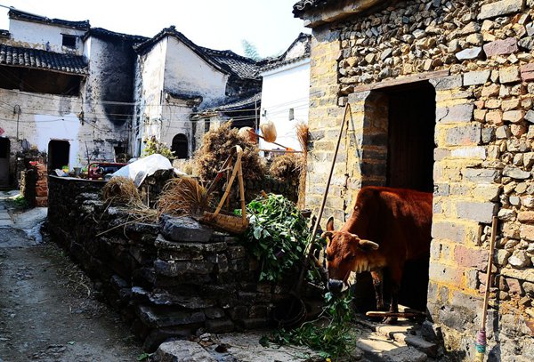 10大古村落，見證鶴壁舊時(shí)光