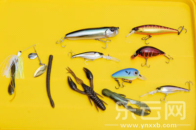 　　又稱擬餌釣魚,起源于歐洲,國內(nèi)翻譯為“路亞”。