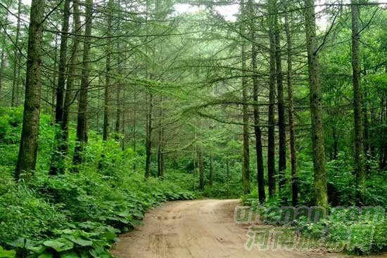 洛陽(yáng)欒川龍峪灣景區(qū) 洛陽(yáng)欒川龍峪灣景區(qū)