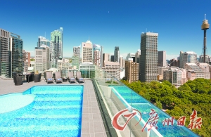 酒店屋頂游泳池俯瞰公園美景。