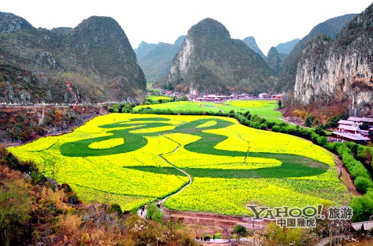 　　貴州油菜花景自以“立體多層,起伏跌宕”的油菜花景觀著稱。(圖片來源:CFP)