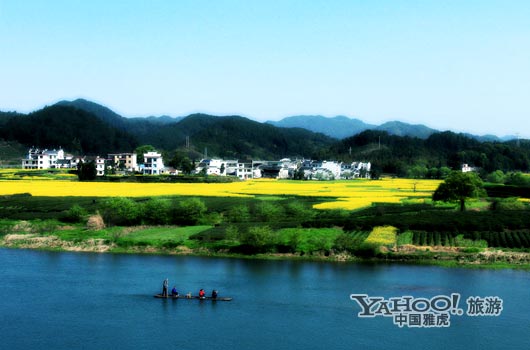 　　婺源號(hào)稱是中國最美麗的鄉(xiāng)村,她最美麗的季節(jié)是三月中下旬。(圖片來源:CFP)