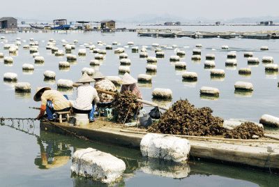 以漁為生，造就了他們不同于內(nèi)地的口味