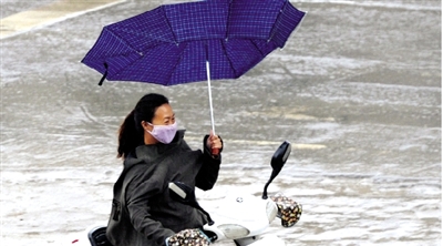 昨日下午，隴海路上，雨中風大，一位女士的傘被吹翻了。