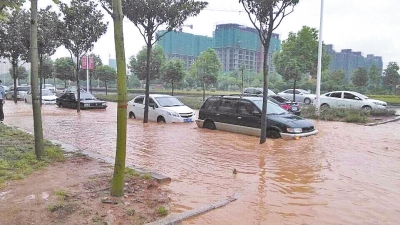 昨日，信陽突降暴雨，路面積水已淹沒輪胎。首席記者 何正權(quán) 通訊員 楊小燕 攝影