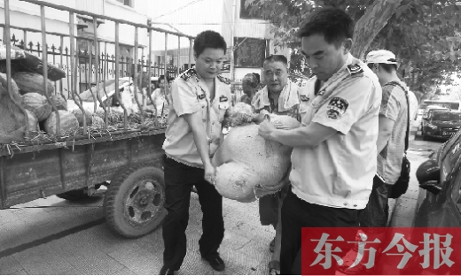 昨日，鄭州金水區(qū)執(zhí)法局的執(zhí)法隊(duì)員捐錢(qián)買(mǎi)瓜，替瓜農(nóng)解憂