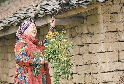 公式“時尚奶奶”的賞花照，收獲了好多人的點(diǎn)贊。 受訪者供圖