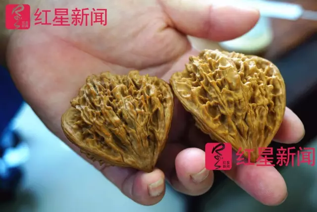 文玩核桃遇冷由幾萬一對(duì)降到5元沒人要？商戶否認(rèn)