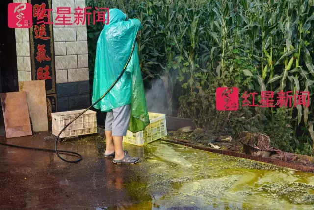 文玩核桃遇冷由幾萬一對(duì)降到5元沒人要？商戶否認(rèn)