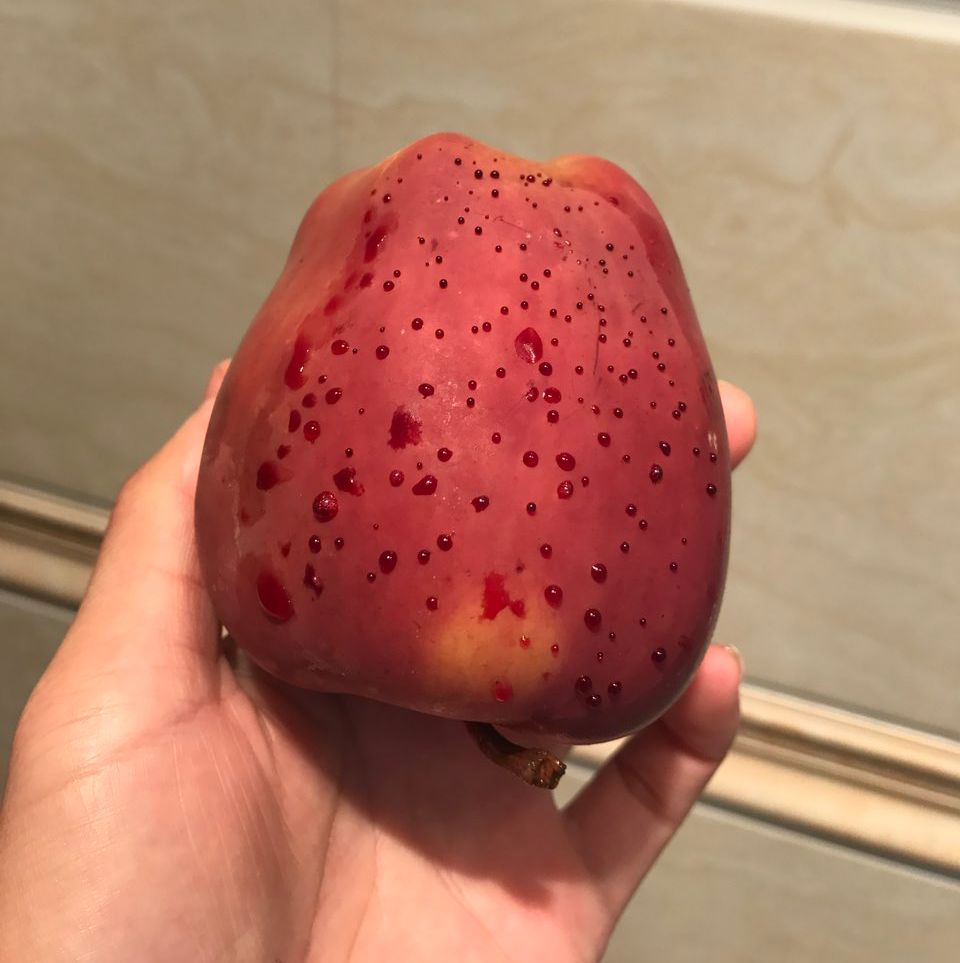嚇懵！女子用熱水泡蘋果結(jié)果冒出血珠 咋回事？