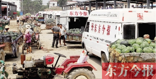 昨日，東方今報(bào)與河南福壽園聯(lián)合購(gòu)瓜，只有更多的市民和企業(yè)加入購(gòu)瓜行動(dòng)，瓜農(nóng)們才能早日回家