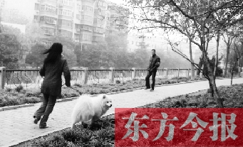 12月3日，鄭州市南關(guān)街熊兒河旁，一名遛狗的女子見(jiàn)到執(zhí)法人員檢查，迅速跑開(kāi)