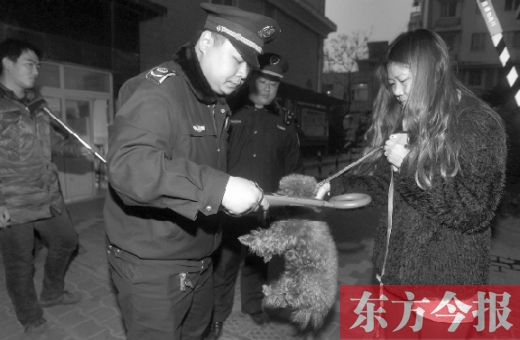12月3日早上6點(diǎn)半，鄭州市南關(guān)街熊兒河旁，南關(guān)街辦事處的執(zhí)法人員對(duì)狗進(jìn)行排查