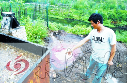 煉油點(diǎn)將骯臟、臭氣熏人的廢水直接排入溝渠。