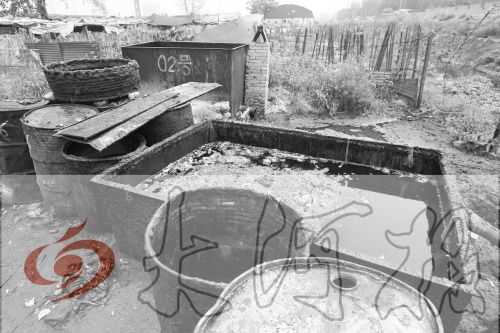 　　骯臟、令人作嘔的油桶凌亂地?cái)[放在院子里，為了避免視覺(jué)刺激，我們把它做成了黑白圖片。