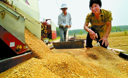 6月3日， 濮陽開發(fā)區(qū)胡村鄉(xiāng)后范莊村的續(xù)秀萍看著新打的粒大飽滿的小麥喜上眉梢。
