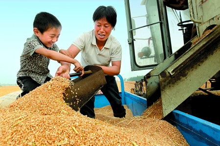 5月27日，確山縣劉店鎮(zhèn)前槽村郭景蓮和小孫子一起收獲小麥，豐收的喜悅寫在了臉上。