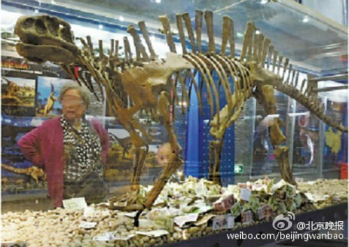 恐龍展柜成功德箱 恐龍展柜成功德箱