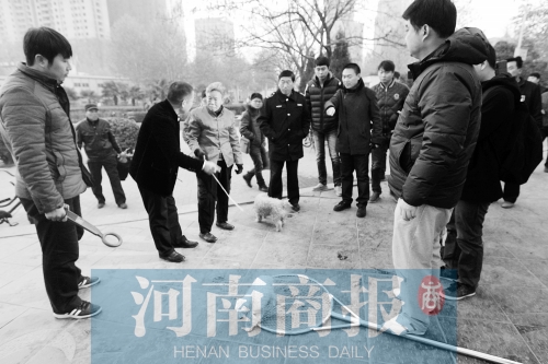 一只辦過狗證的小白狗，因為沒有拴犬鏈，被執(zhí)法人員暫扣
