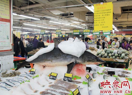 鄭州市一家超市海鮮區(qū)的冰架上赫然擺著一整條鯊魚在出售，鯊魚肉價格為23.80元每斤，遠(yuǎn)低于牛羊肉的價