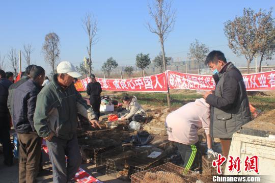 圖為百余名愛狗人士把老李的貨車攔截，數(shù)十人正在從貨車上卸下裝滿狗的鐵籠?！●R義恒　攝