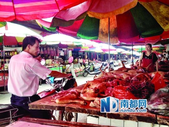  昨日，玉林垌口市場，一位市民在購買狗肉。