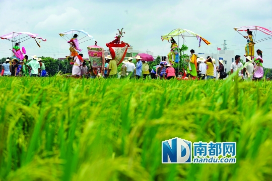 崖口村每年都在村里舉行飄色巡游活動。