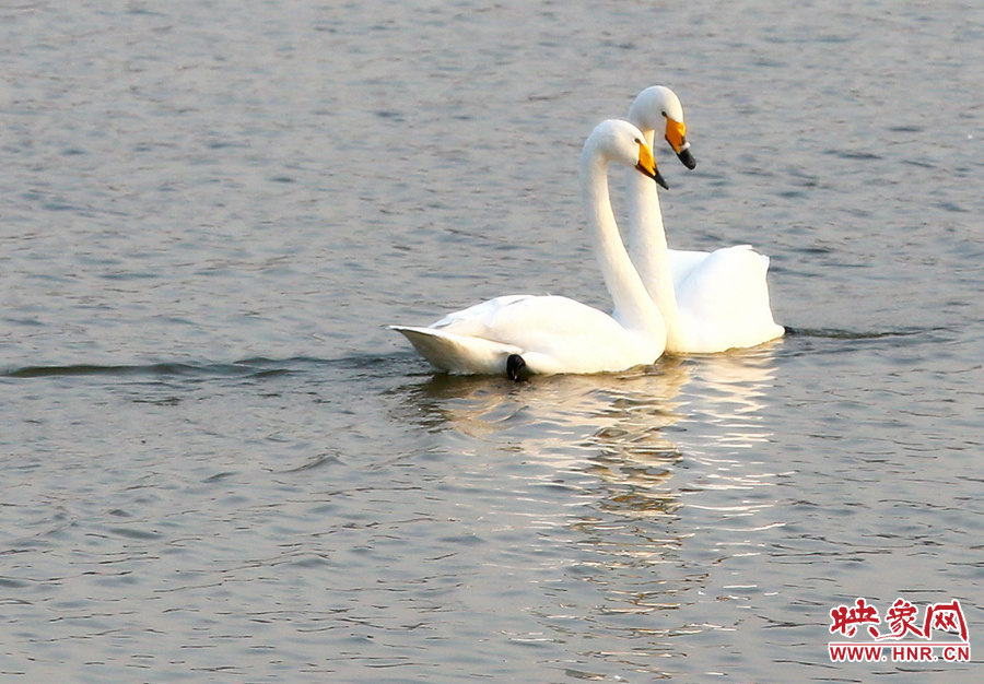 快來給我們拍一個(gè)合影