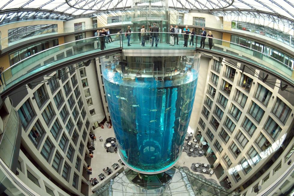 在圓柱水族館主體下方，還有一些別的展館。